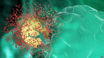 Aids Virüsü Belirtileri ve Tedavisi